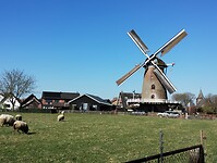 IMG_20250412_105611211