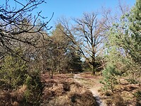 IMG_20250412_094811149