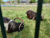 IMG_20250419_155133470_HDR