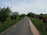 IMG_20250419_151654851
