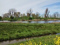 IMG_20250419_141414074