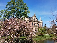 IMG_20250419_124632959