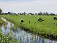 IMG_20250419_123204559