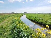 IMG_20250419_122313597