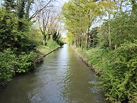 IMG_20250420_161850185