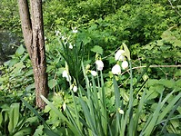 IMG_20250420_160459790