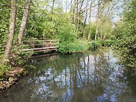 IMG_20250420_160416686