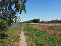 IMG_20250420_125848230