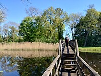 IMG_20250420_103912048_HDR