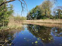 IMG_20250420_103908306