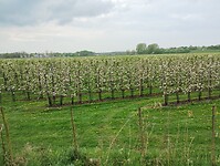 IMG_20250421_142151378