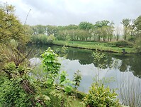 IMG_20250421_115522290