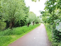 IMG_20250504_132905210