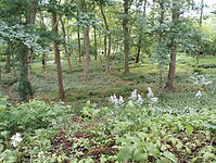 IMG_20250504_132616761