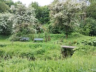 IMG_20250504_132333076