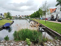 IMG_20250504_123209321