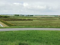 IMG_20250504_112816837