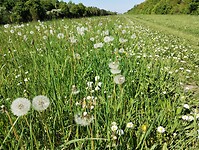 IMG_20250429_160320663