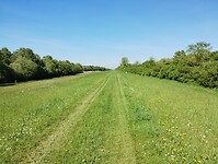 IMG_20250429_154156427