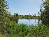 IMG_20250429_152619949