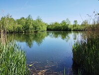 IMG_20250429_152030148