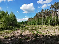 IMG_20250511_165751471