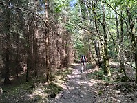 IMG_20250511_164356977_HDR