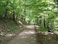 IMG_20250511_161639933