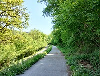 IMG_20250511_151916383_HDR