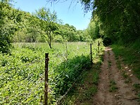 IMG_20250511_135254195_HDR