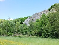 IMG_20250511_135052341