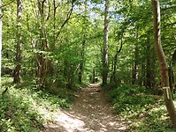 IMG_20250511_134731433