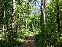IMG_20250511_131622976_HDR
