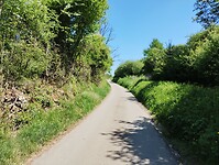 IMG_20250511_130111808