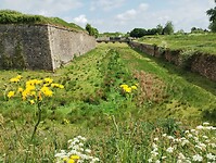 IMG_20250512_152605040