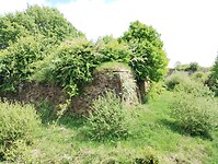 IMG_20250512_151858231