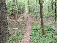 IMG_20250512_121459228
