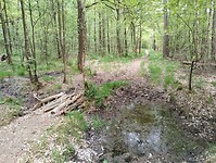 IMG_20250512_120912617