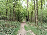 IMG_20250512_120124579