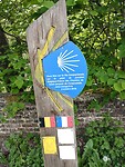 IMG_20250512_114243882