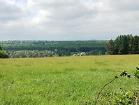 IMG_20250512_111035725