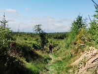 IMG_20250512_104837148