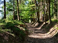 IMG_20250512_104651300_HDR