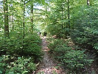 IMG_20250512_101135026