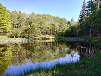 IMG_20250512_093506558_HDR
