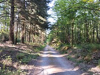 IMG_20250512_092731609