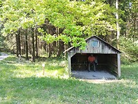 IMG_20250512_094017078