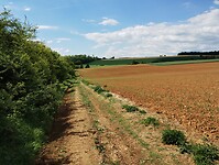 IMG_20250513_151024187