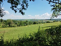 IMG_20250513_142202862