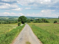 IMG_20250513_135124602